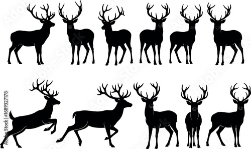 Collection of diverse cat silhouettes in various poses vector illustration scalable graphic design asset