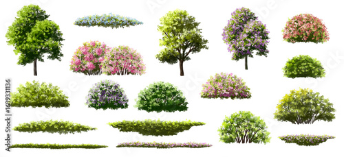 Vertor set of spring blossom tree,blooming plants side view for landscape elevation and section,eco environment concept design,watercolor meadows illustration,colorful season