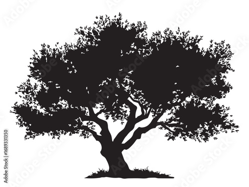 Beautiful olive tree silhouette in artistic vector style