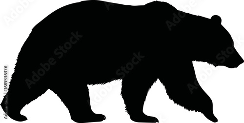 Silhouette of a walking bear in profile view, black and white illustration. Vector illustration