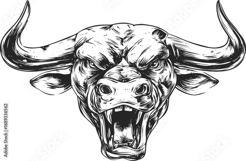 Black and white angry bull head sketch with detailed line art illustration. Vector illustration