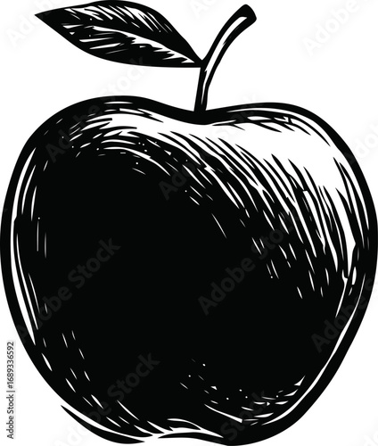 Black and white sketched apple with leaf, monochrome illustration concept. Vector illustration