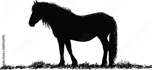 Silhouette of a horse on grass with textured mane in black and white illustration. Vector illustration