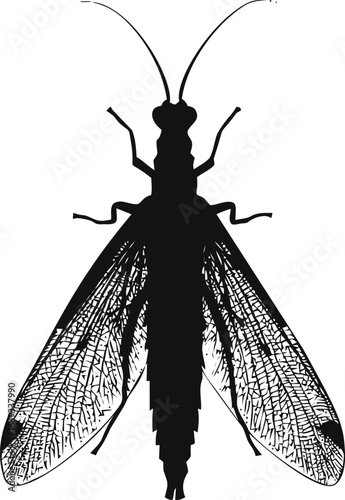 Black silhouette of a dragonfly with detailed wings. Vector illustration