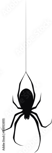 Silhouette of a black spider hanging on a thin web against. Vector illustration