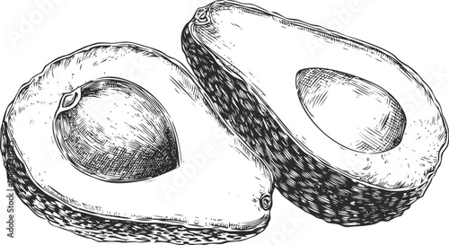 Hand-drawn illustration of two halved avocados in black and white sketch. Vector illustration