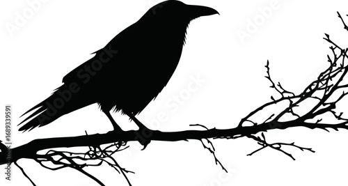 Silhouette of a raven perched on a bare tree branch. Vector illustration
