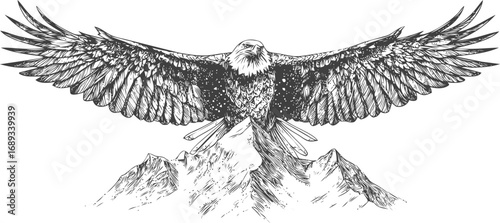Eagle soaring with widespread wings over mountain peaks in detailed line art. Vector illustration