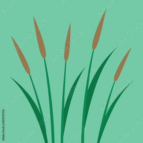 grass and flowers