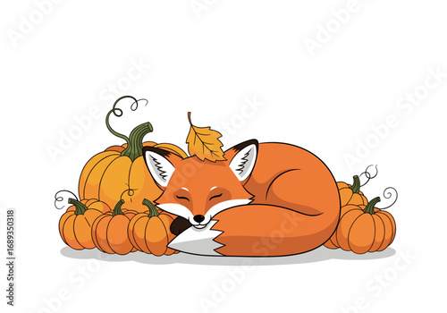 A cute fox sleeps peacefully amongst a pile of pumpkins on a bright autumn day