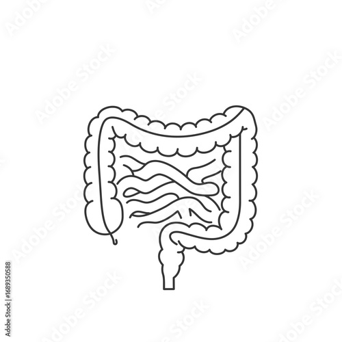Line Art Illustration of the Human Digestive System