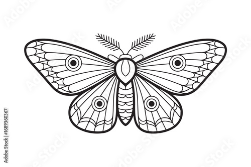 Detailed black and white illustration of a moth
