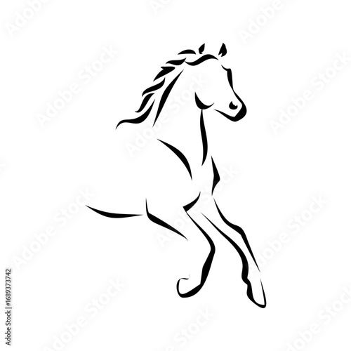 A graceful prancing horse drawn with elegant calligraphic brush strokes. Minimalist black and white vector illustration for a logo or icon