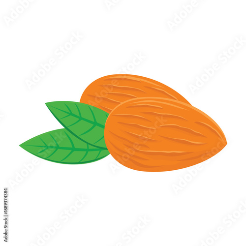 almond cartoon design. healthy food symbol.