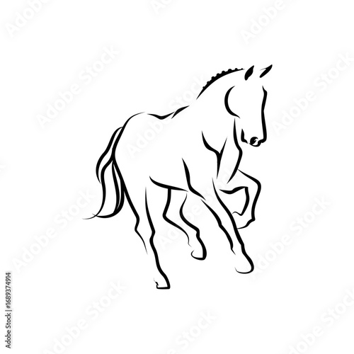 Elegant Line Art Horse Illustration Graceful Equine Drawing