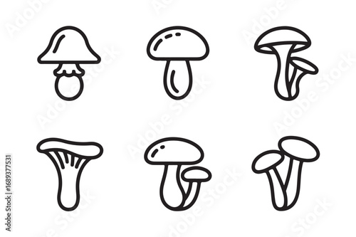 Vector illustration of different mushroom icons
