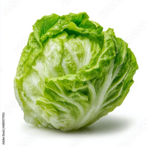 A fresh head of lettuce isolated. The crisp, green leaves of the lettuce are ready to be enjoyed.