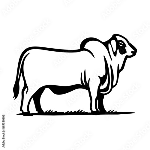 Elegant Monochrome Illustration of a Brahma Bull | Cattle Silhouette