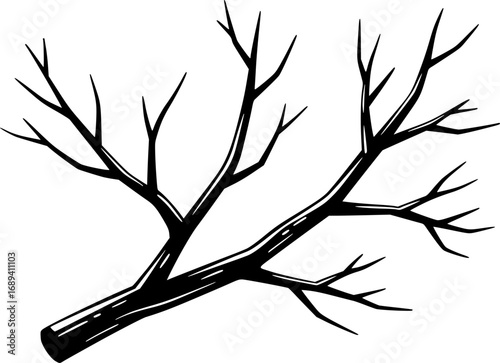 Dry Tree Branch Vector Shape Design
