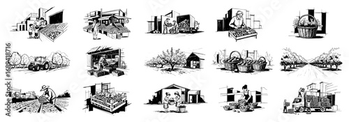 Farming and local market agriculture vector icons set