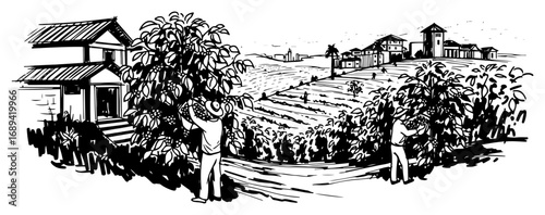 Orchard harvest countryside landscape sketch vector