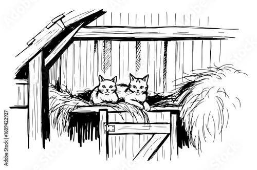 Hand drawn cats resting on hayloft in barn sketch