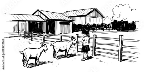 Child with goats at rural farm by fence