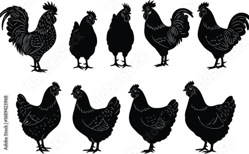Rooster and Hen Silhouettes, Chicken Vector Clipart, Poultry Bird Illustration, Farm Animal Graphic, Domestic Fowl Design, Black Chicken Outline