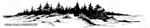 Landscape sketch of a forest on a lake shore