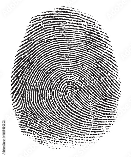 Black Fingerprint Pattern on White Background