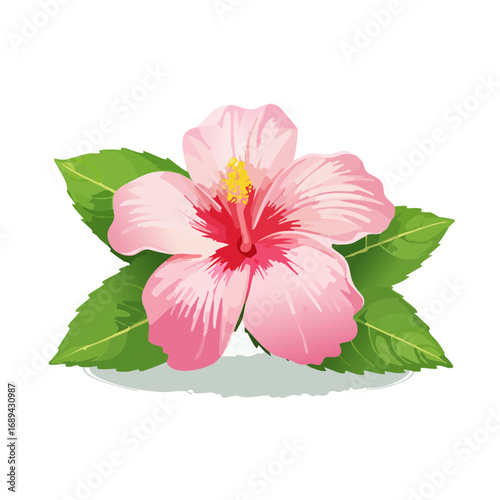 Pink hibiscus flower blossom illustration with green leaves against a black background Tropical floral bloom petals pollen pistil