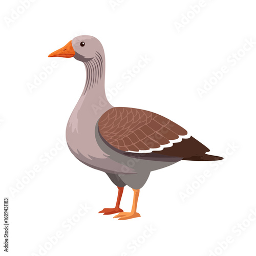 Standing goose illustration with brown plumage and orange beak on a black background waterfowl bird life