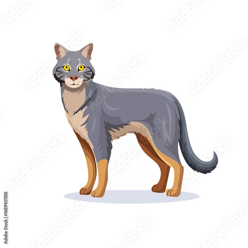 Cartoon cat animal illustration standing calmly isolated vector art graphic friendly gray and tan tabby character design