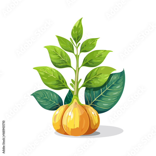 Bright Sprout Growing Leaves from Bulb Cartoon Illustration on Black Backdrop