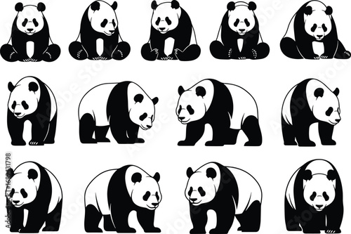Panda bear silhouettes, cute pandas sitting and walking, black and white animal vector, wildlife illustration, nature, giant panda clipart, endangered species