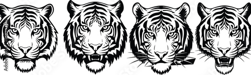 Tiger head vector illustration, wild animal face clipart, jungle predator artwork, big cat graphic silhouette, fierce wildlife icon design