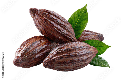 Close-up of dark-brown cacao pods, textured skin, and fresh leaves