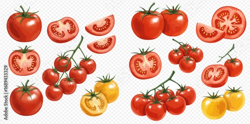 A vibrant illustration set of fresh red and yellow tomatoes, shown whole, sliced, halved, and on the vine.
