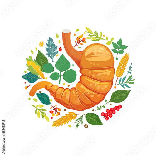 Stomach health concept illustration with botanical elements Healthy digestion and wellbeing design for gastrointestinal care and herbal medicine remedies