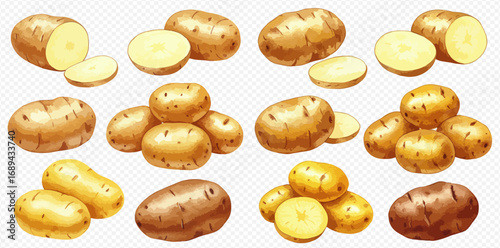 A realistic illustration set of various raw potatoes, including whole tubers, halves, and slices, on a transparent background.