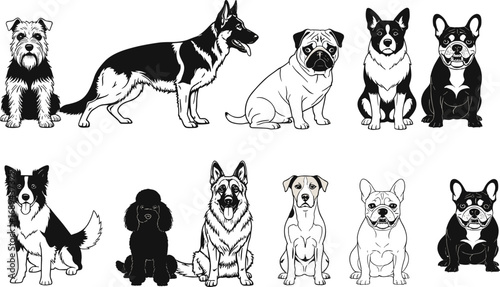 Collection of popular dog breeds illustration, German Shepherd, Border Collie, Pug, French Bulldog, Poodle, diverse pets, dog lovers, canine companions