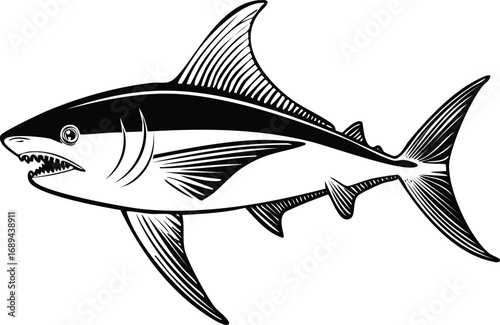 Predatory Ocean Icon: A stark, black and white graphic depicts a fearsome shark, capturing the essence of its predatory power with sharp lines and a dramatic silhouette.