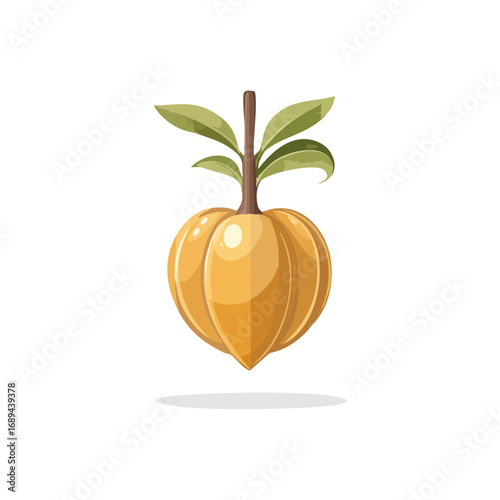 Canistel fruit illustration with leaves on a stem a healthy tropical fruit for vegans