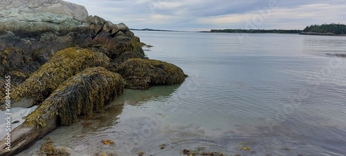  walk on the beach 