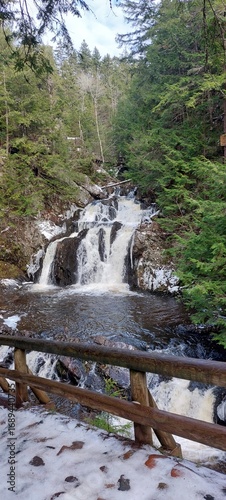 waterfall in the forest