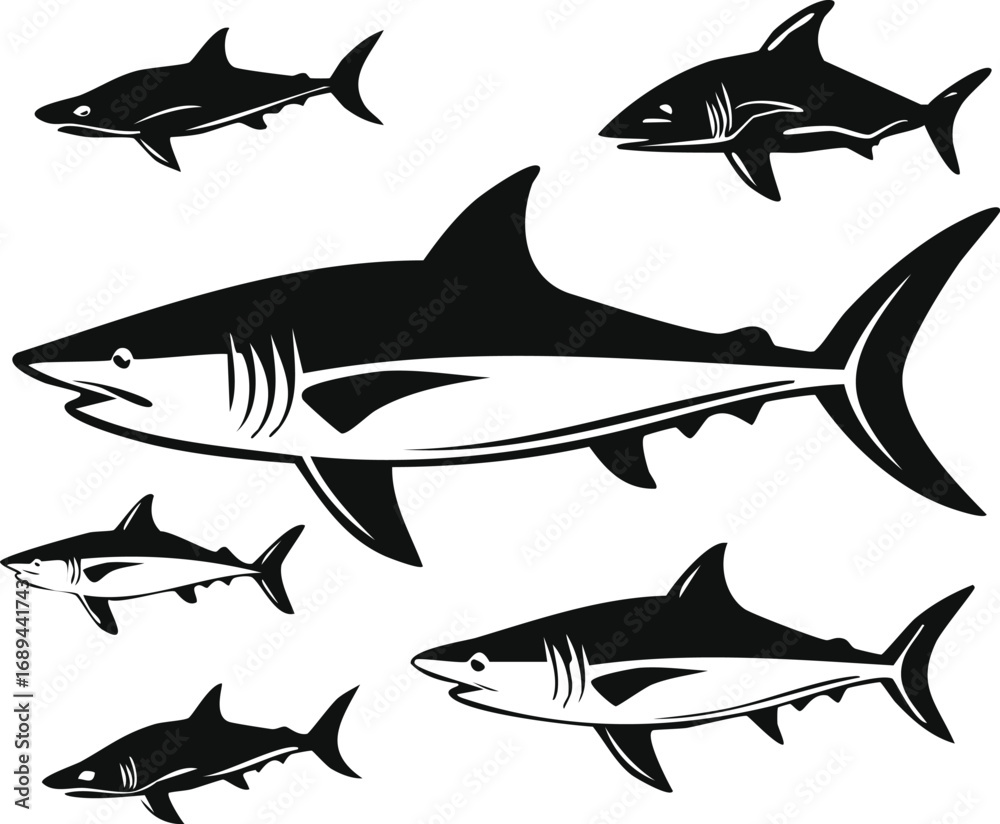 Obraz premium Shark Silhouettes: A collection of detailed shark silhouettes, showcasing various angles and perspectives, against a neutral backdrop, perfect for design and educational materials.