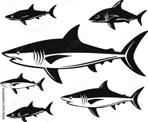 Shark Silhouettes: A collection of detailed shark silhouettes, showcasing various angles and perspectives, against a neutral backdrop, perfect for design and educational materials.