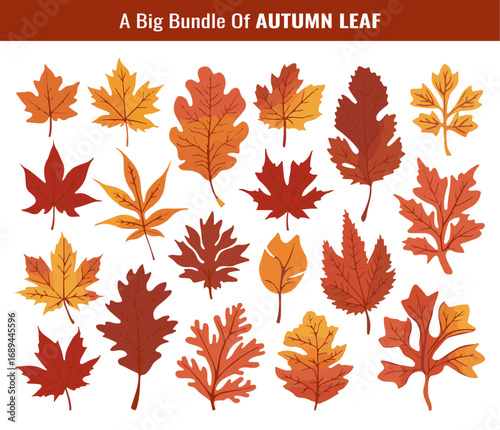 Collection of Colorful Autumn Leaves with Detailed Veins in Silhouette Style silhouette
