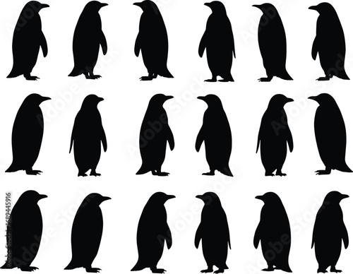 Penguin silhouette collection, black and white bird shapes, standing penguins clipart, wildlife animal vector, cold climate birds illustration, Antarctic animals design