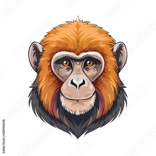 Monkey head vector illustration isolated animal primate wildlife ape graphic design brown fur symmetrical gaze